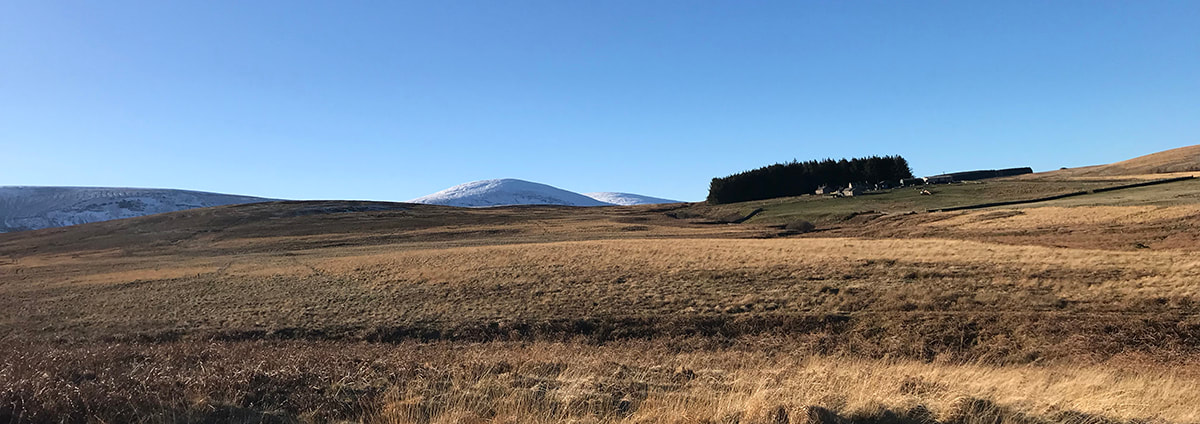 Photograph of the Cheviot Hills